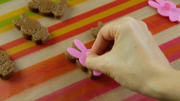 Frau macht Ingwerkekse Hasenform für Ostern, Nahaufnahme — Stockvideo