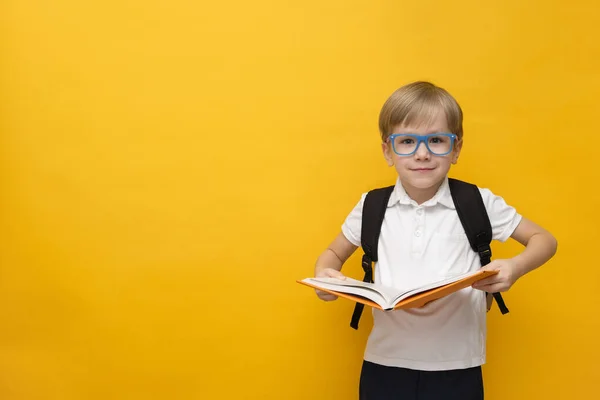 Roztomilý malý školní chlapec v brýlích drží knihu na žlutém pozadí — Stock fotografie