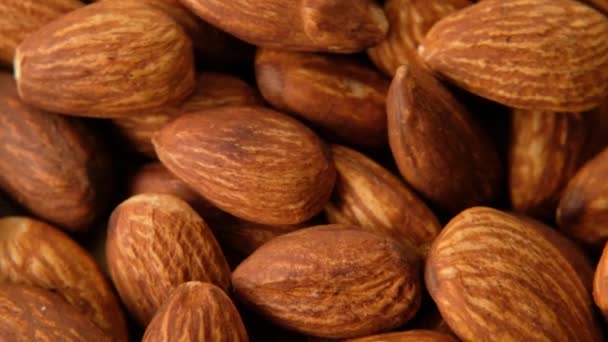 Peeled almonds nuts closeup rotating, macro shot — Stock Video