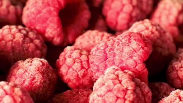 Frozen raspberries with frost rotating, macro shot — Stock Video