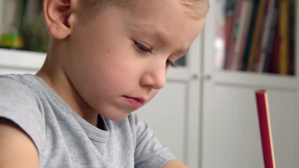 Criança pré-escolar, segurando lápis, desenhando ou fazendo trabalhos de casa na mesa — Vídeo de Stock