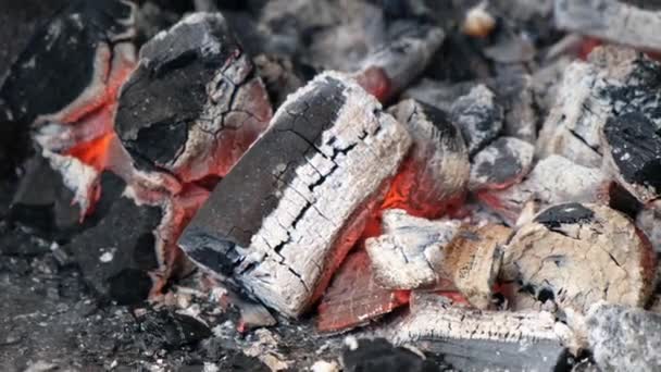 Gros plan sur les charbons brûlants dans le barbecue. Charbon chaud et flamme avec fumée . — Video