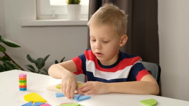 Barn pojke småbarn gör enkla matematik övningar med bråk i skolan, närbild. uppdelning av bråk, matematik — Stockvideo