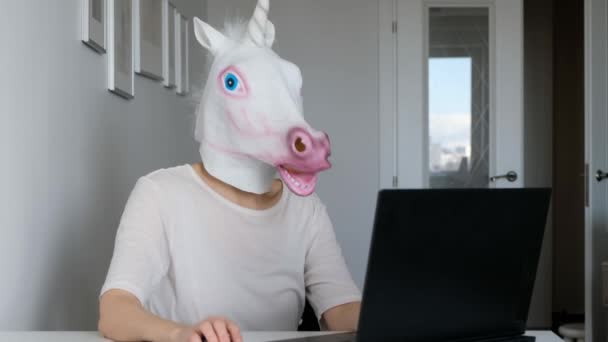 Tuhaf komik bir video. Tek boynuzlu at kafası olan bir kadın bilgisayarda çalışıyor. Koronavirüsü karantinaya alırken kendini izole et — Stok video