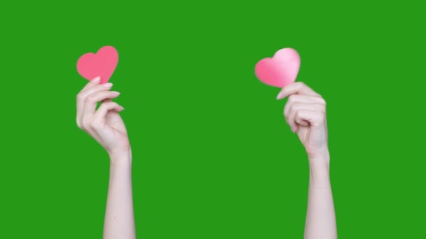 Womans hands holding hearts on green chroma key background, demonstration of love, valentine — Stock Video