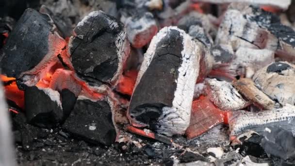 Крупный план горящих углей в гриле для барбекю. Горячий уголь и пламя с дымом . — стоковое видео
