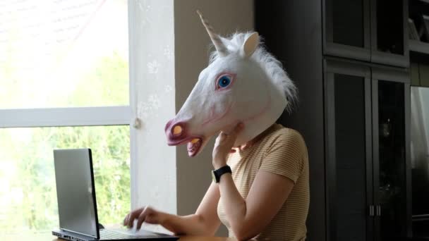 Strano video divertente - donna arrabbiata con testa di unicorno che lavora su un computer. Auto isolamento . — Video Stock