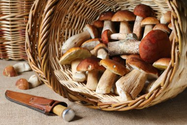 Masadaki hasır sepetin içindeki mantarlar.