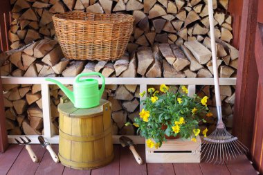 Bahçe aletleri seti ve Petunya çiçekleri çalılığı ağaçların arkasındaki ahşap bir kulübede yakacak odun yığını..