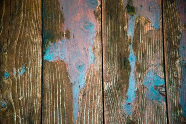 parlak pembe panoları