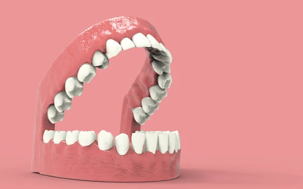 Dente — Foto Stock
