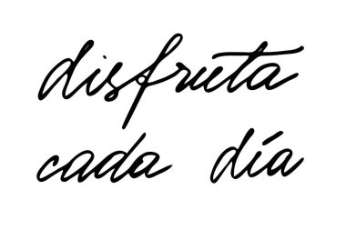 Phrase in Spanish Enjoy every day. Handwritten black text isolated on white background, vector. Each word is on the separate layer