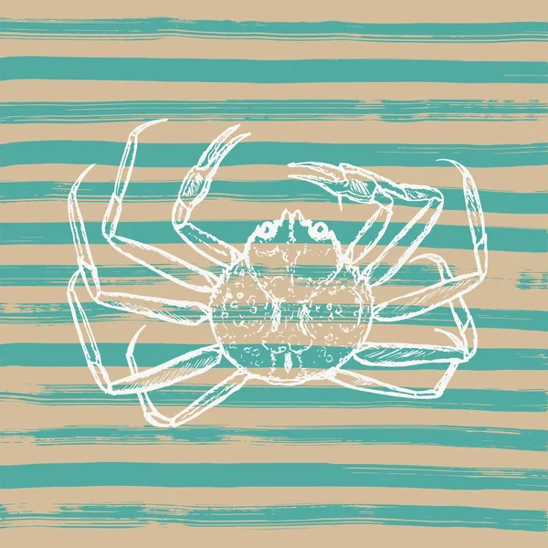 Hand Drawn Sketch Illustration Crab Striped Background — 스톡 벡터