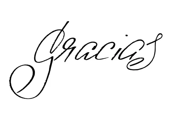 Gracias Thank You Spanish Handwritten Black Text Isolated White Background — 스톡 벡터