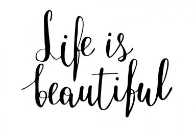 Hayat güzeldir. Beyaz arkasında izole siyah metin el yazısı