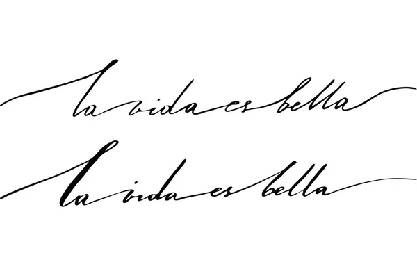 La vida es hermosa en español. Texto negro manuscrito aislado en — Archivo Imágenes Vectoriales