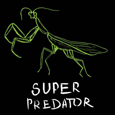 Hand drawn green mantis on black background, vector vector Hand drawn green mantis on black background, vector vector