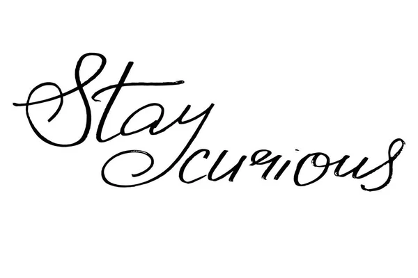 Stay curious. Handwritten black text isolated on white background, vector. Each word is on a separate layer 