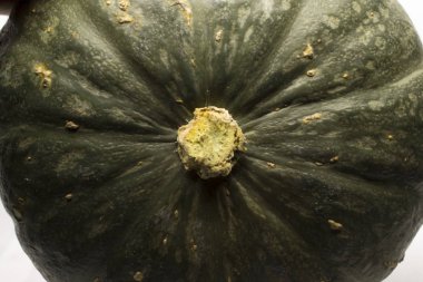 Bu, Beyaz Arkaplanda izole edilmiş bir Yeşil Balkabağı 'nın fotoğrafı.