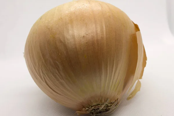 Photograph Onion Isolated White Background — Stock Photo, Image
