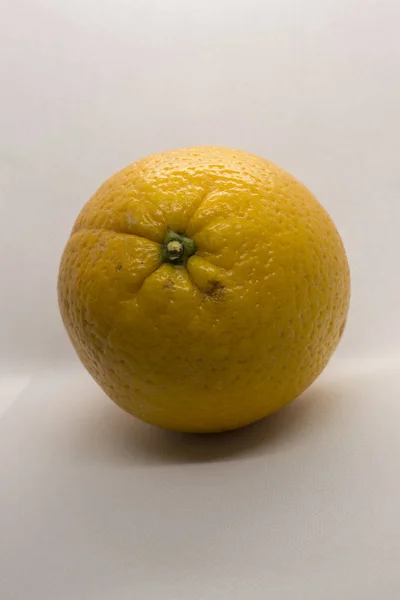Detta Ett Fotografi Orange Isolerad Vit Bakgrund — Stockfoto