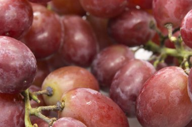 Bu kırmızı üzümlerin beyaz arka planda izole edilmiş bir fotoğrafı.