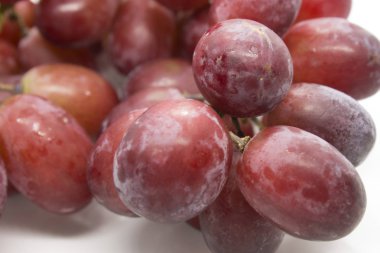 Bu kırmızı üzümlerin beyaz arka planda izole edilmiş bir fotoğrafı.