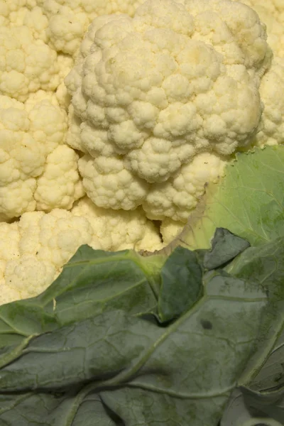 Photograph Cauliflower — Stock Photo, Image