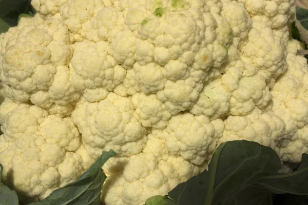 Esta Una Fotografía Una Coliflor — Foto de Stock