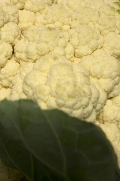 Photograph Cauliflower — Stock Photo, Image