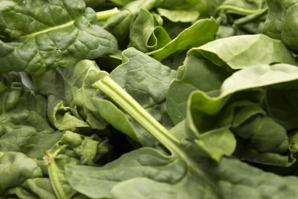 Photograph Fresh Baby Spinach — Stock Photo, Image