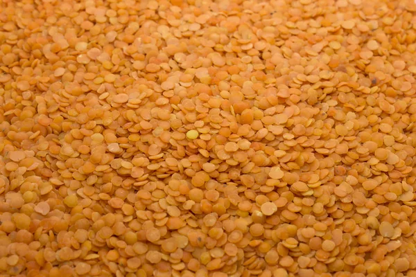 Photograph Red Lentils — 스톡 사진