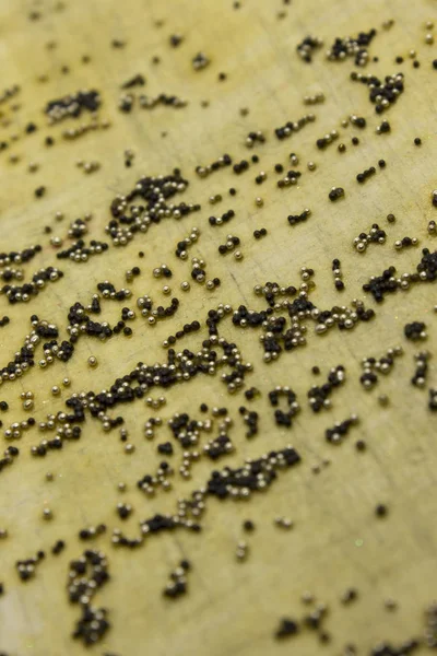 Dies Ist Eine Fotografie Eines Schwarz Goldenen Paillettenhintergrundes — Stockfoto