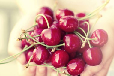 Kırmızı Kiraz çocuğun elinde. Seçici odak