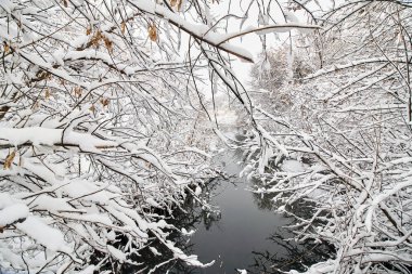 Karlı kış parkı. Güzel kış ağaçları, bol karlı dallara sahiptir. Karla kaplı bir gölet.