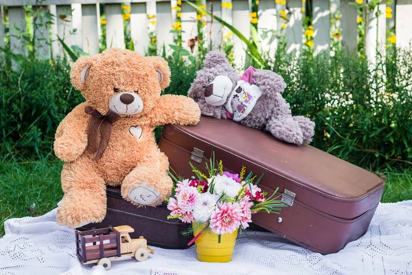 Bavul üzerinde oturan oyuncak ayılar — Stok fotoğraf