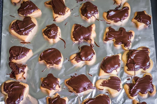 Biscotti al cioccolato — Foto Stock