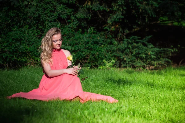 Belle fille avec rose blanche — Photo