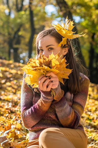 Красива дівчина в осінньому парку — стокове фото