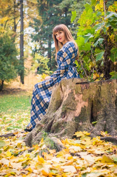 Őszi park gyönyörű lány — Stock Fotó
