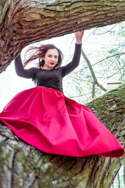 Hermosa joven en el tronco del árbol — Foto de Stock