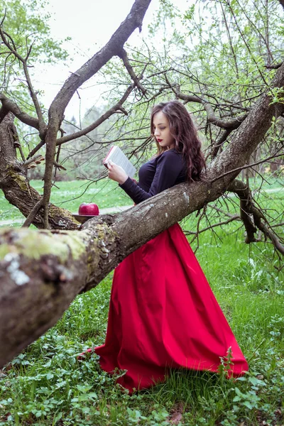 Mujer leyendo un libro — Foto de Stock