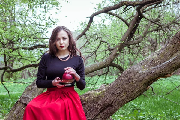 Chica sentada en un tronco de árbol — Foto de Stock