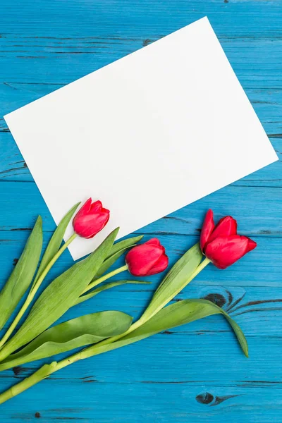 Tulipas vermelhas em uma placa de madeira azul — Fotografia de Stock