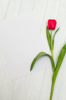 Beyaz ahşap tahta üzerinde kırmızı lale