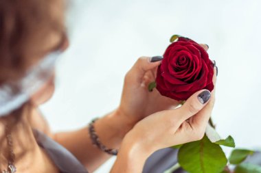 Beyaz arka plan üzerinde izole kırmızı gül tutan eller kadın