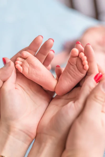 Pies Bebé Manos Madre Pequeños Recién Nacidos Babys Pies Las — Foto de Stock