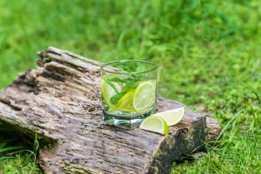 Bardak su nane ve limon ile