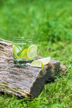 Bardak su nane ve limon ile