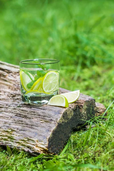 Bardak su nane ve limon ile